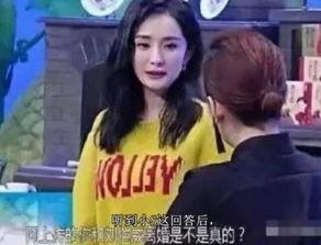 卓伟爆料过杨幂吗视频播放,揭秘娱乐圈背后的真相