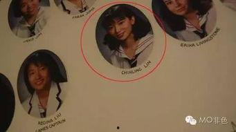 天涯网爆料明星八卦最新,天涯爆料最新明星八卦大揭秘